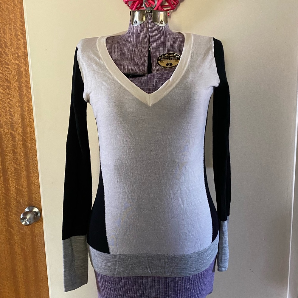 Club Monaco Italian fine merino wool sweater